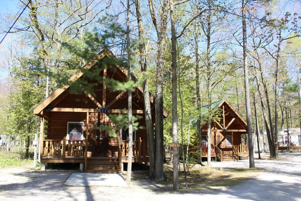 斯特金贝Tranquil Timbers Deluxe Cabin 6的树林里的木小屋