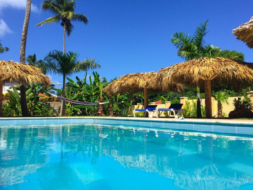 拉斯加勒拉斯Las Galeras Hotel的一个带椅子和遮阳伞的游泳池以及棕榈树