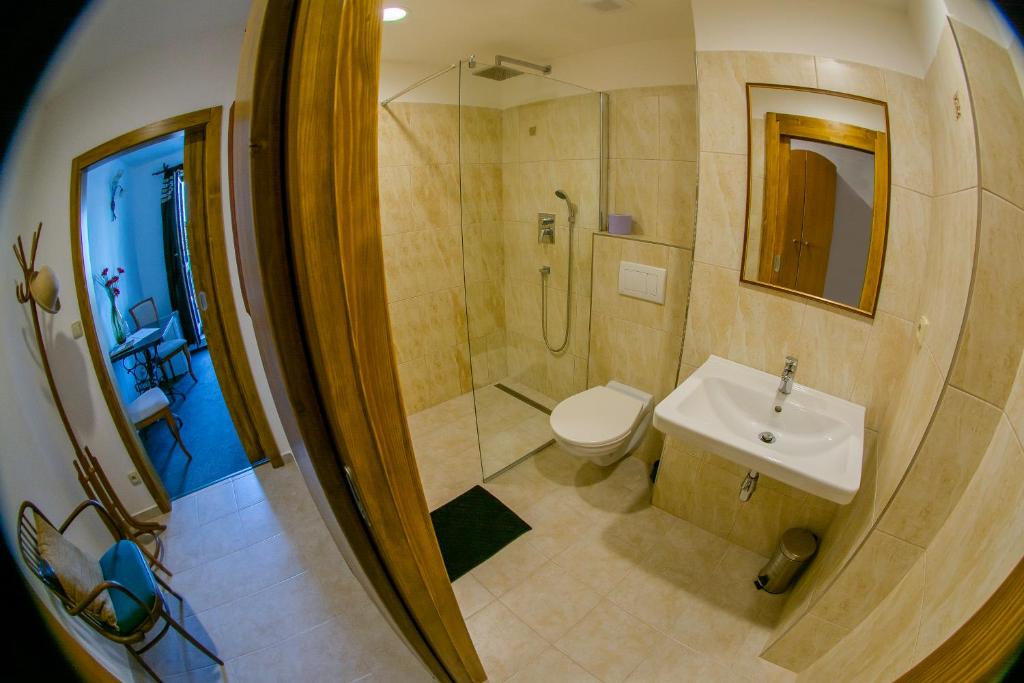 然贝尔克潘司基杜姆贝尔克酒店的浴室配有卫生间、淋浴和盥洗盆。