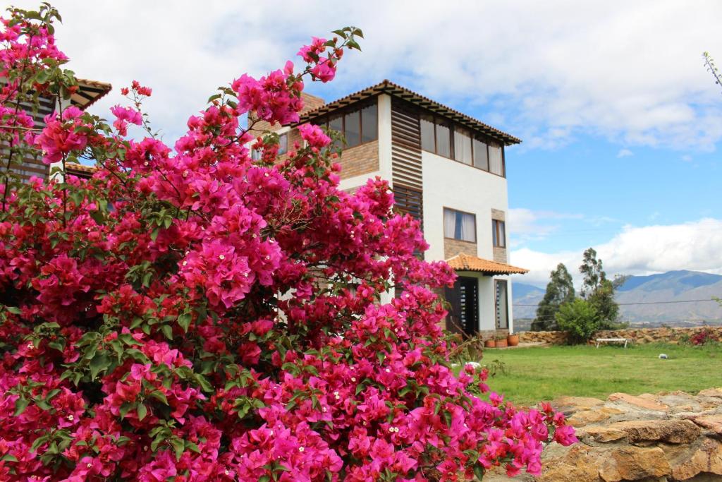 SutamarchánPosada San Esteban的一座房子前面的粉红色花丛