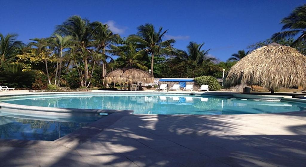 圣安德烈斯South End Villas的一座棕榈树环绕的大型游泳池