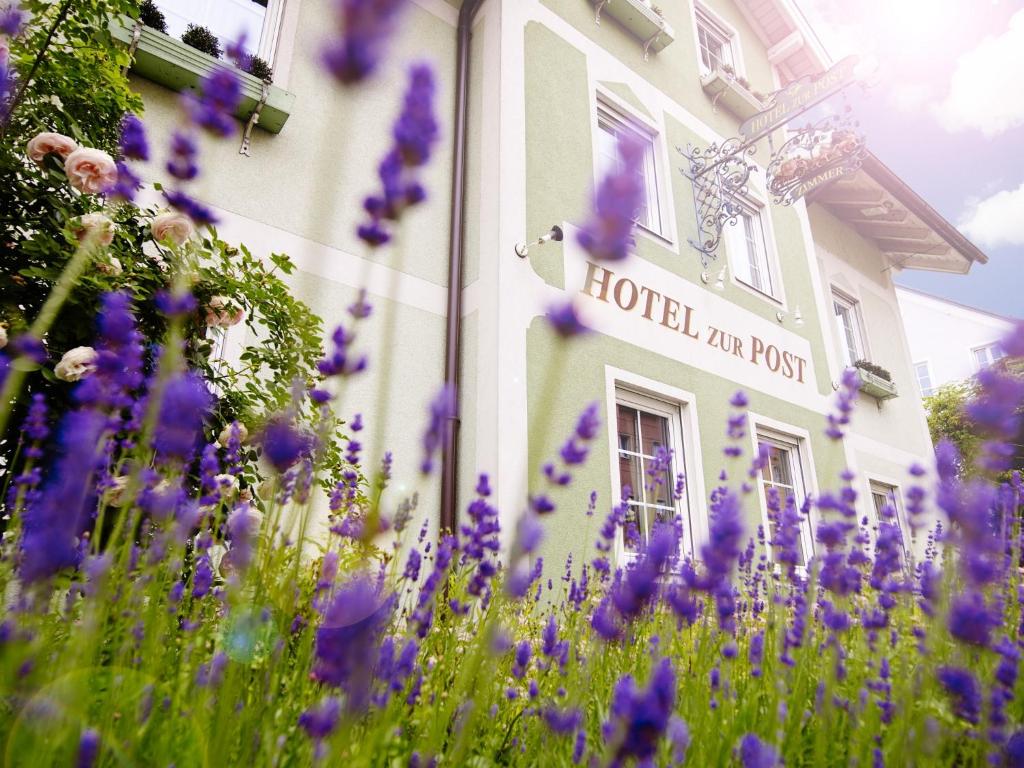 萨尔茨堡珀斯特绿色酒店 - 100％比奥的一座在前面布满紫色花的建筑