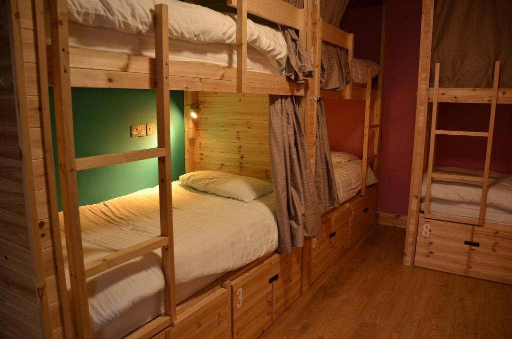 基拉尼The Black Sheep Hostel的绿色墙壁客房中的两张双层床