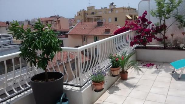 尼斯Val Roya Terrasse的建筑里种植了盆栽植物的阳台