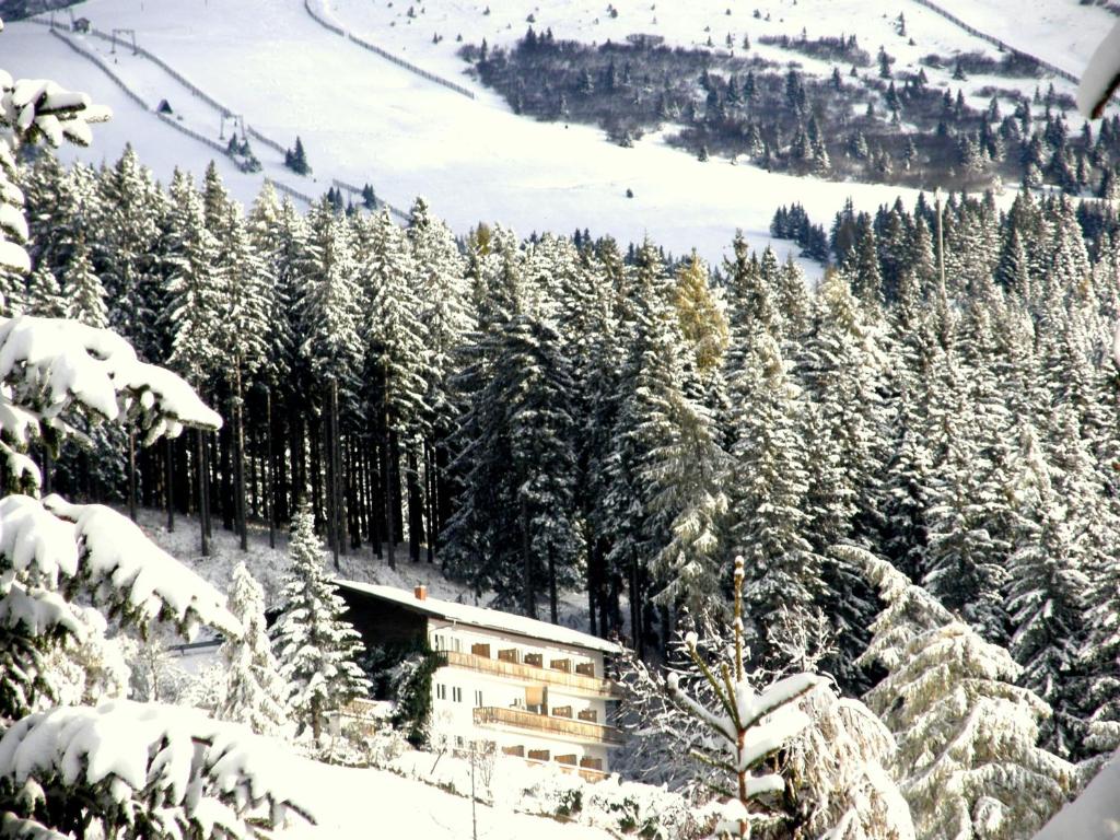 圣斯特凡卡琳加尼酒 的山上一座有积雪覆盖的森林