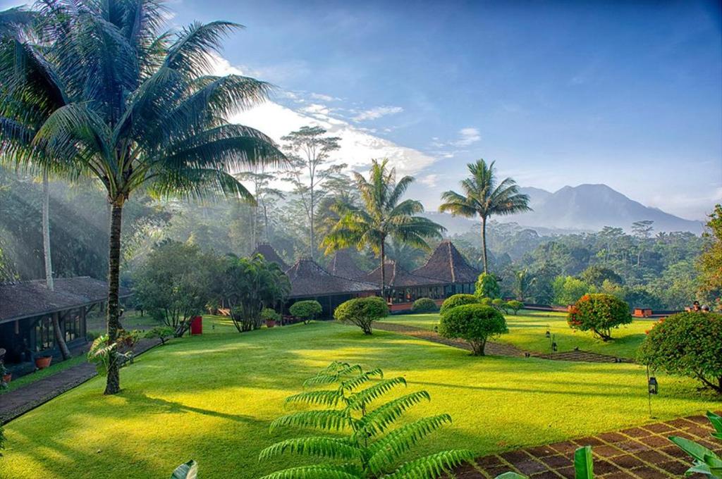 婆罗浮屠美萨提拉Spa度假村的郁郁葱葱的绿色公园,种植了棕榈树,拥有建筑