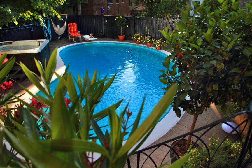 肖维尼根吉特切斯巴扎住宿加早餐旅馆的一座小游泳池,位于种有植物的庭院内