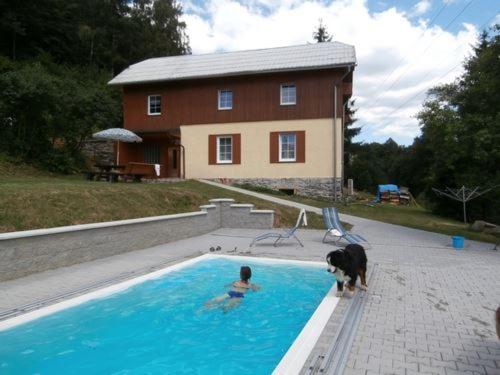 卢捷拿纳德德斯努Chata Eliška的一个人和狗在有房子的游泳池里