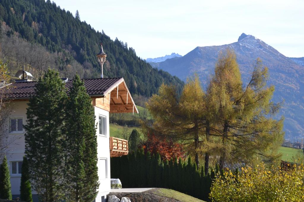 巴特霍夫加施泰因AlpenglueckGastein - Private mountain lodge的山景度假屋