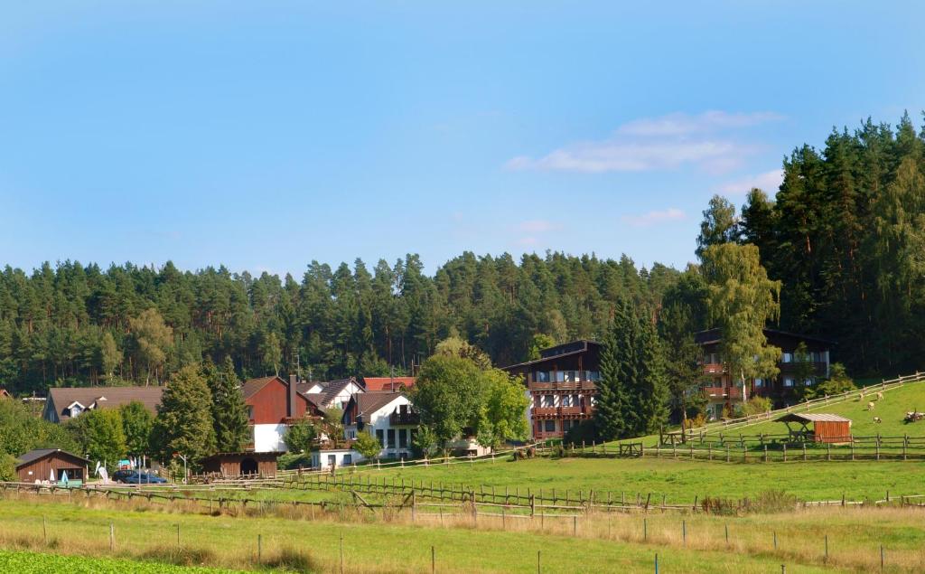 米特威茨巴赫雷因沃德酒店的山丘上的一个村庄,有房子和树木