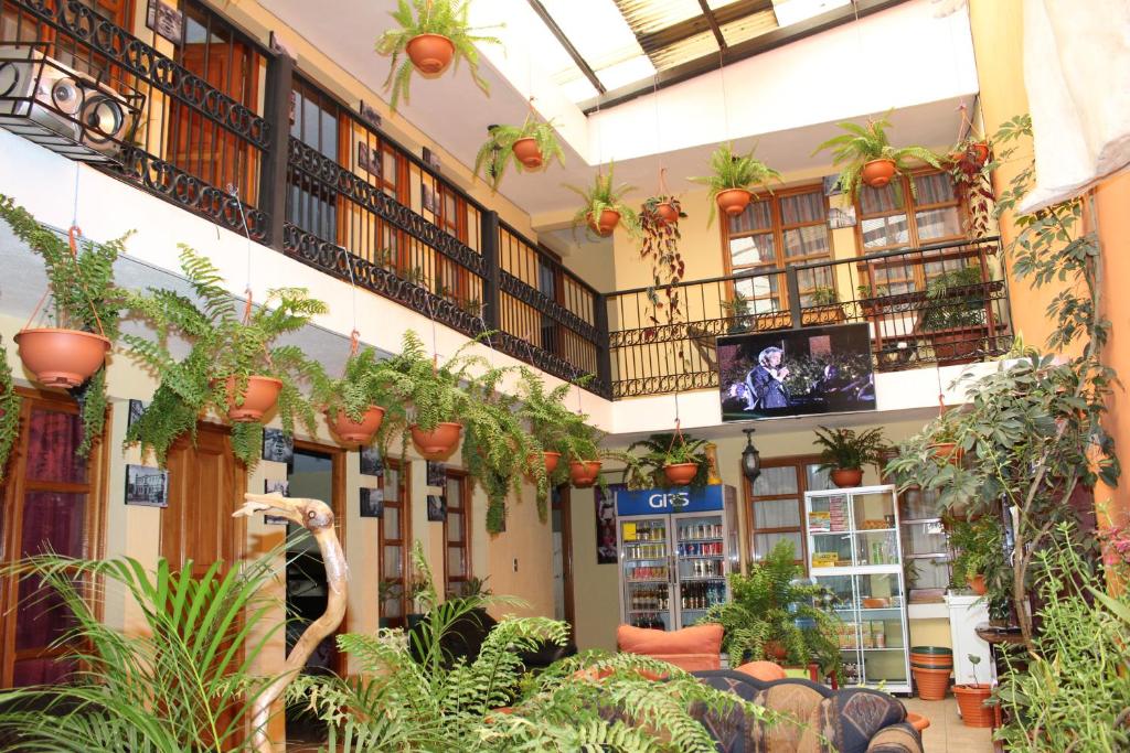 克萨尔特南戈Hotel Kasa Kamelot的一座植物繁多的建筑