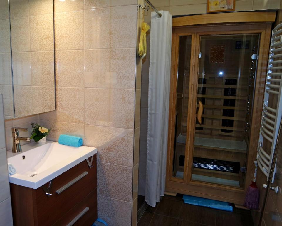 杰尔Belvárosi Studio Apartman的一间带水槽和淋浴的浴室
