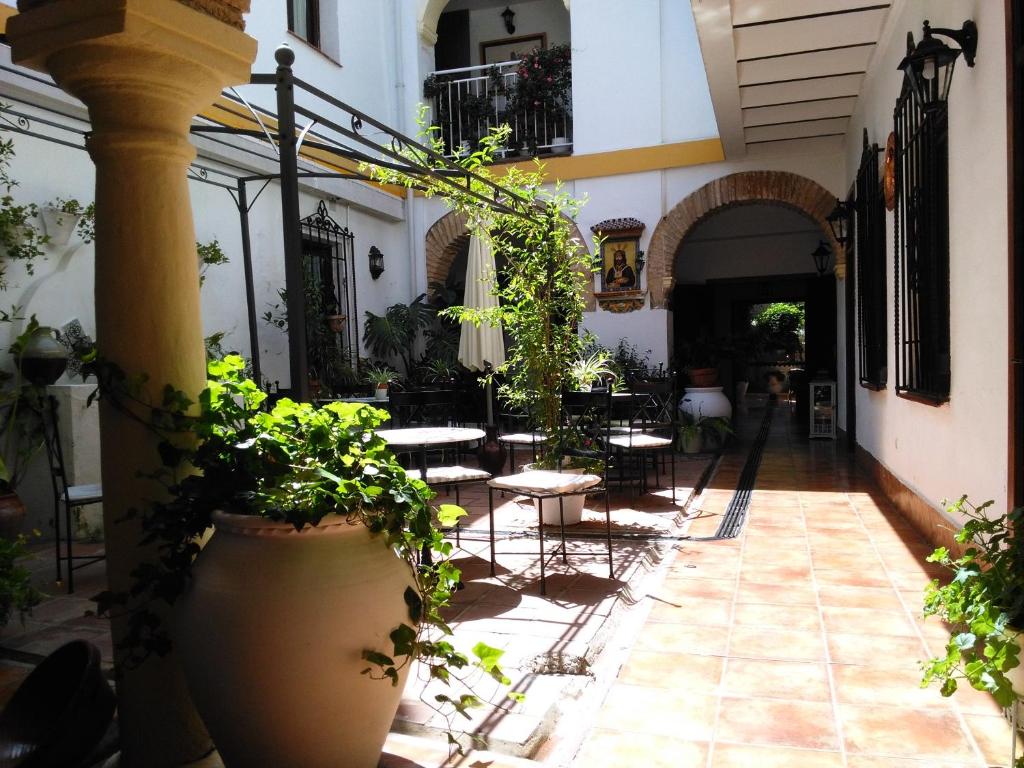 科尔多瓦橘橙之家酒店的大楼内带桌椅的庭院