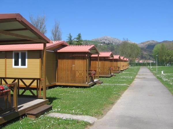 阿里翁达斯Camping Sella的排成排的小屋排在草地上