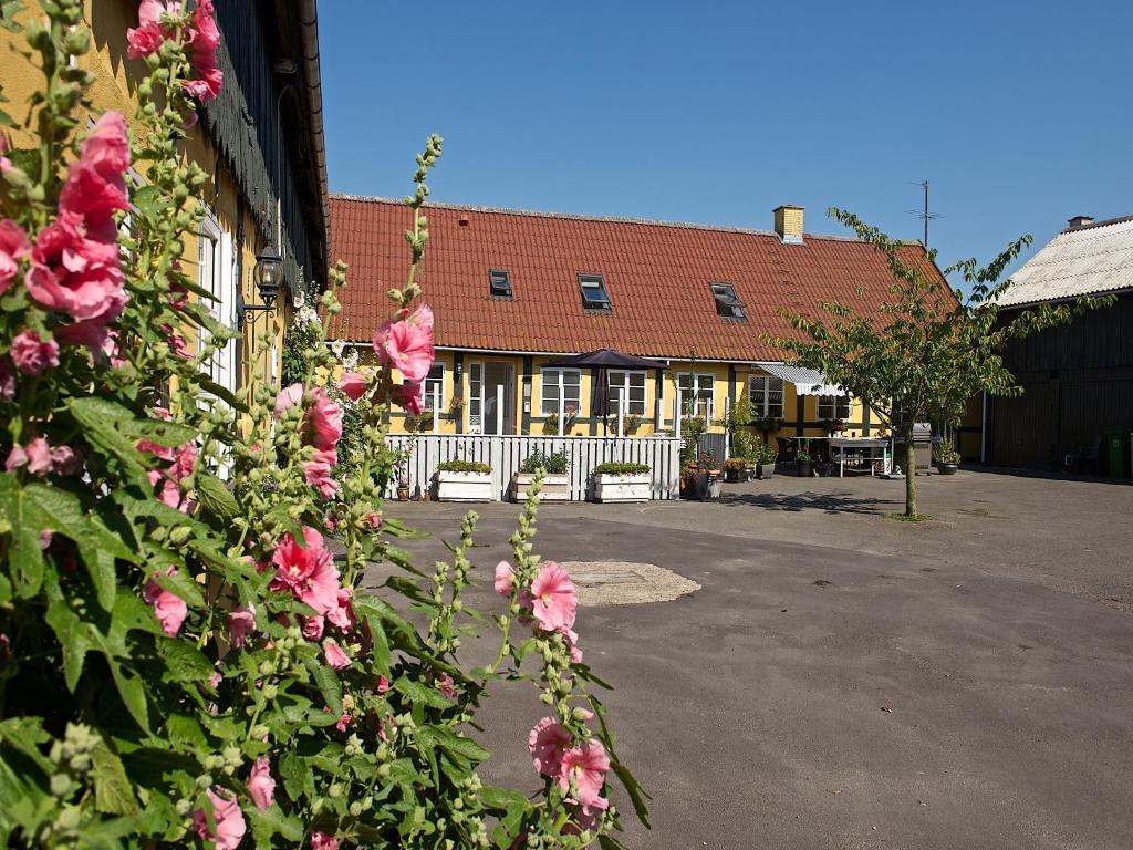 斯诺厄拜克迈瑞嘉德住宿加早餐旅馆的前面有粉红色花的建筑