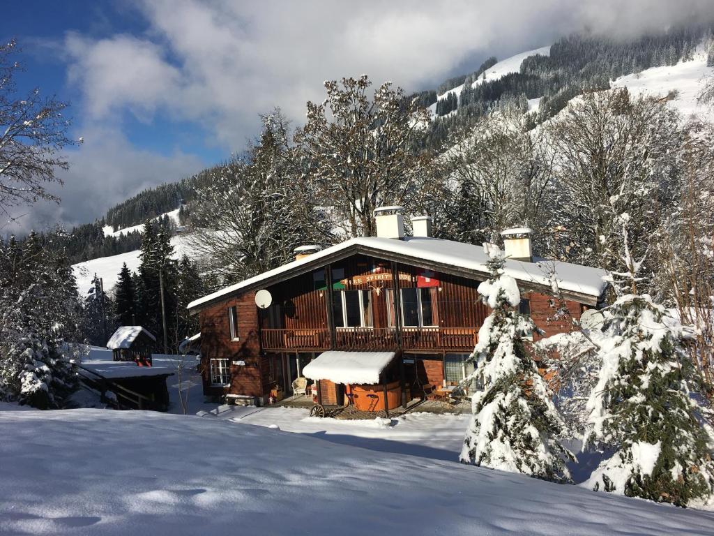 瑟伦贝格自由精神旅馆 的雪地里的小木屋,有树
