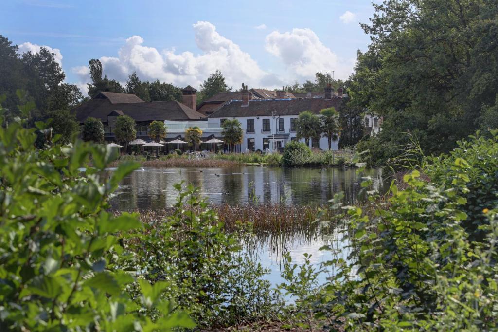 法纳姆Frensham Pond Country House Hotel & Spa的享有房子和树木繁茂的河流的景色