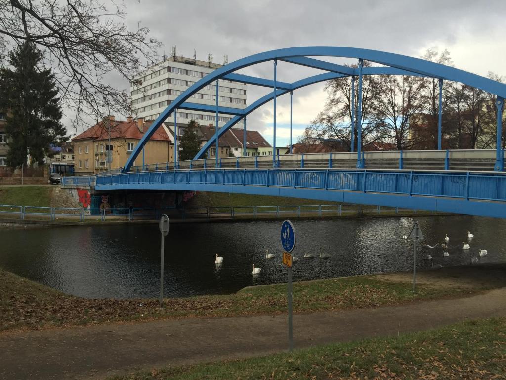 捷克布杰约维采莱斯拉维宾馆的一条河上的蓝桥,河底下有鸭子