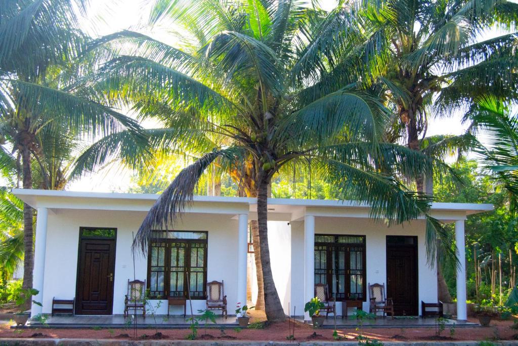 锡吉里亚荫凉芒果别墅住宿加早餐旅馆的一座棕榈树掩映的白色房子