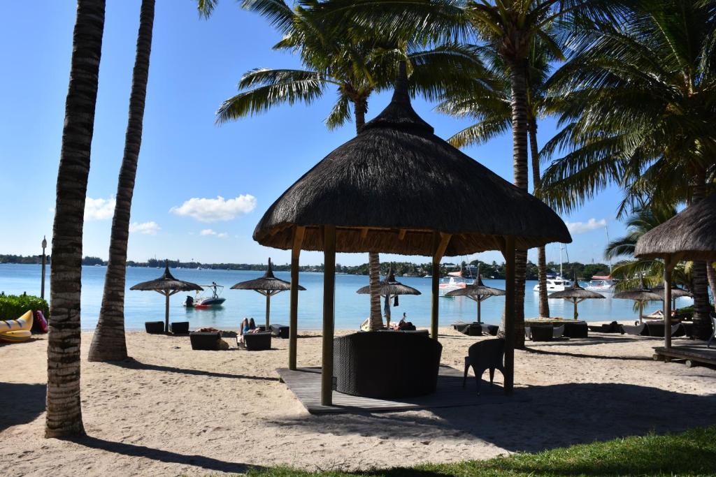 格兰贝伊Ocean Villas Apart Hotel by Ocean Hospitality的一只狗站在海滩上的草伞下