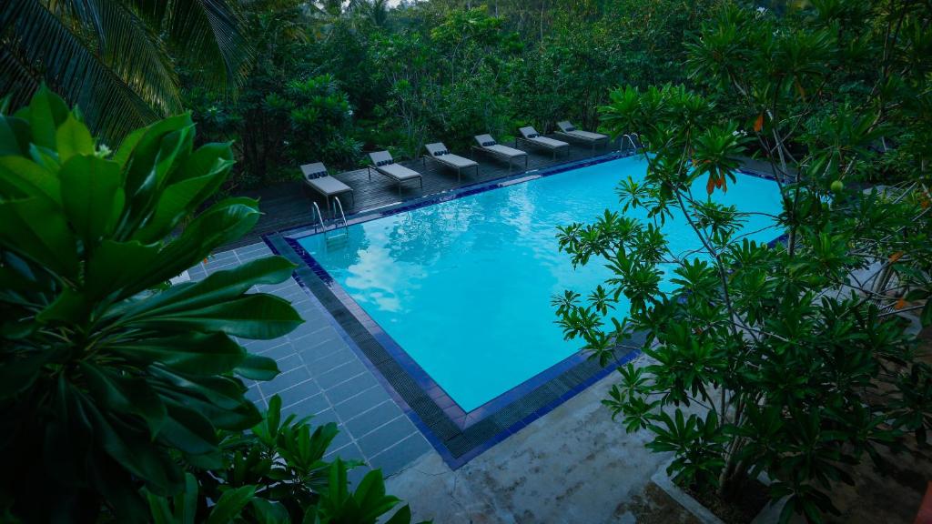 高尔金甘加住宿旅馆的享有带椅子和树木的游泳池的顶部景致