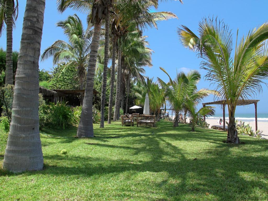 曼克拉Casitas Pacificas的棕榈树公园和海滩