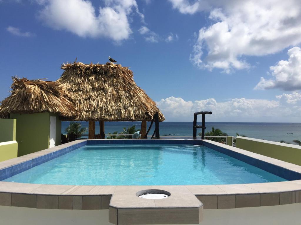 圣佩德罗Casa del Rai的一个带稻草伞和海洋的游泳池