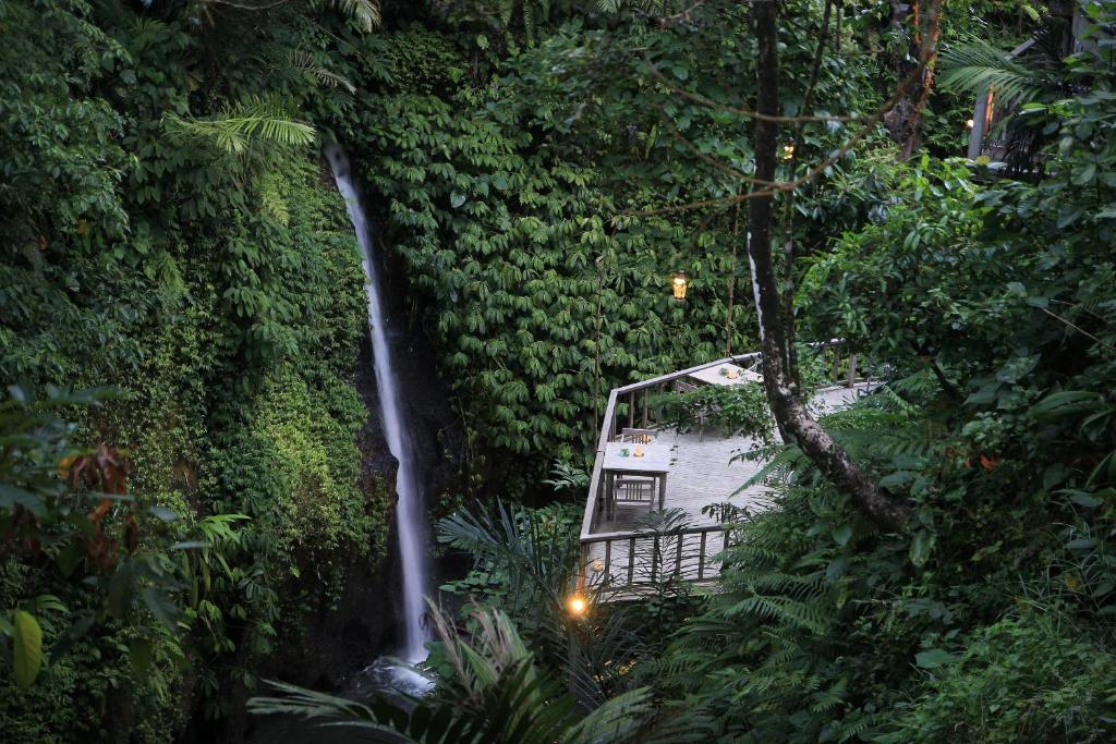 乌布The Kayon Resort的丛林中带瀑布的房子