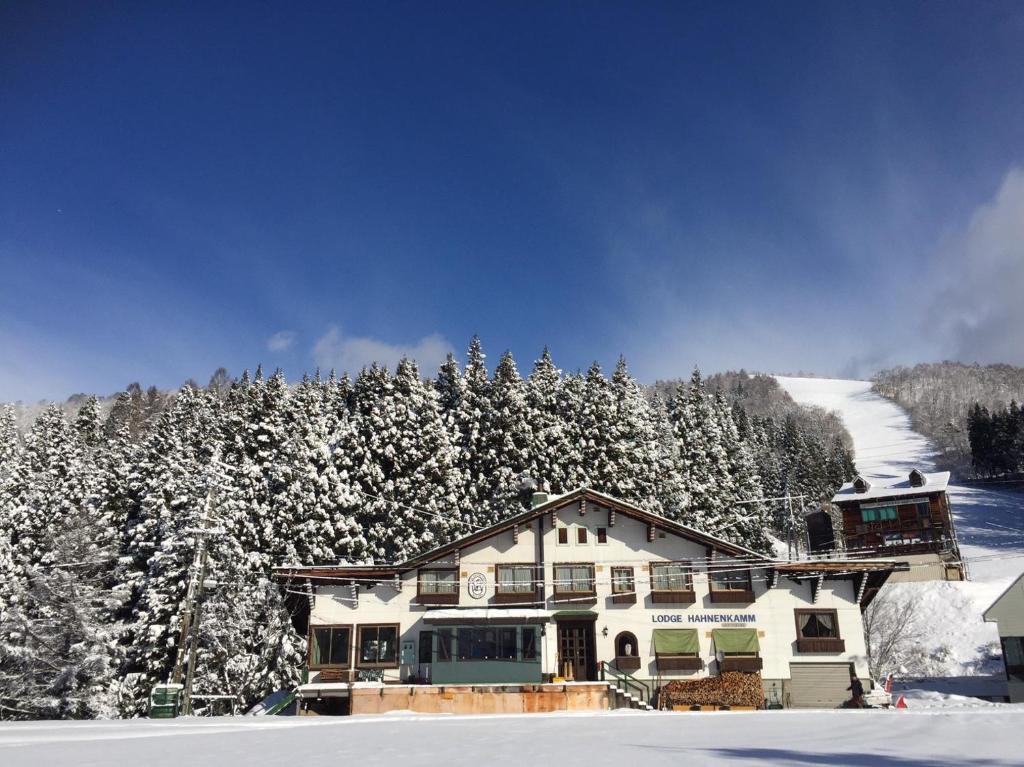 野沢哈南卡姆山林小屋的雪中的房子,有雪覆盖的树木