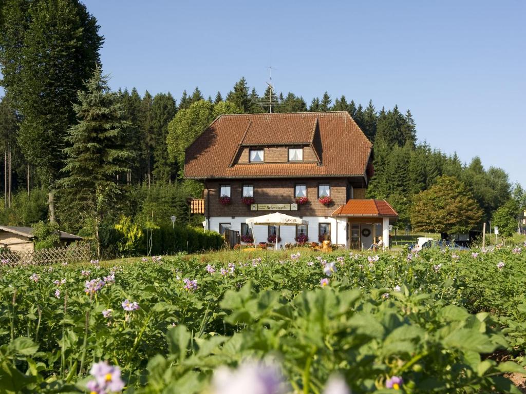 蒂蒂湖-新城Gasthaus Schweizerhof的花丛中间的房子