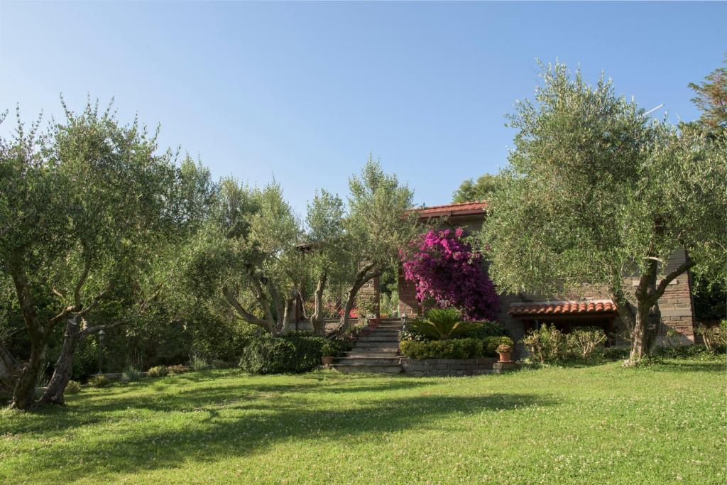 特雷维尼亚诺罗马诺Gli Ulivi的一座花园,在房子前面有树木和楼梯