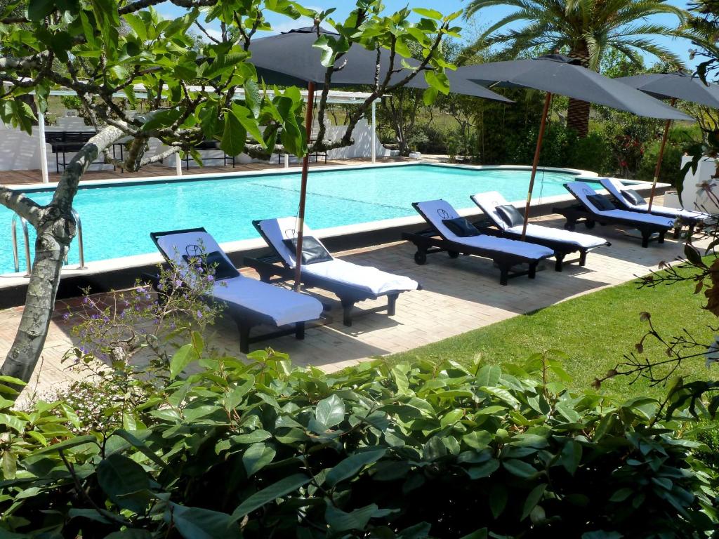 塔维拉金塔达劳酒店的游泳池旁设有躺椅和遮阳伞