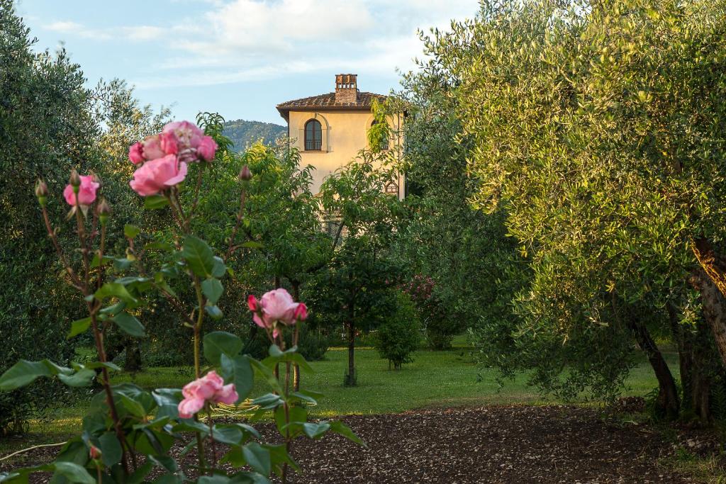 塞斯托-菲奥伦蒂诺Villa Il Paradisino的前景中粉红色玫瑰的背景房子