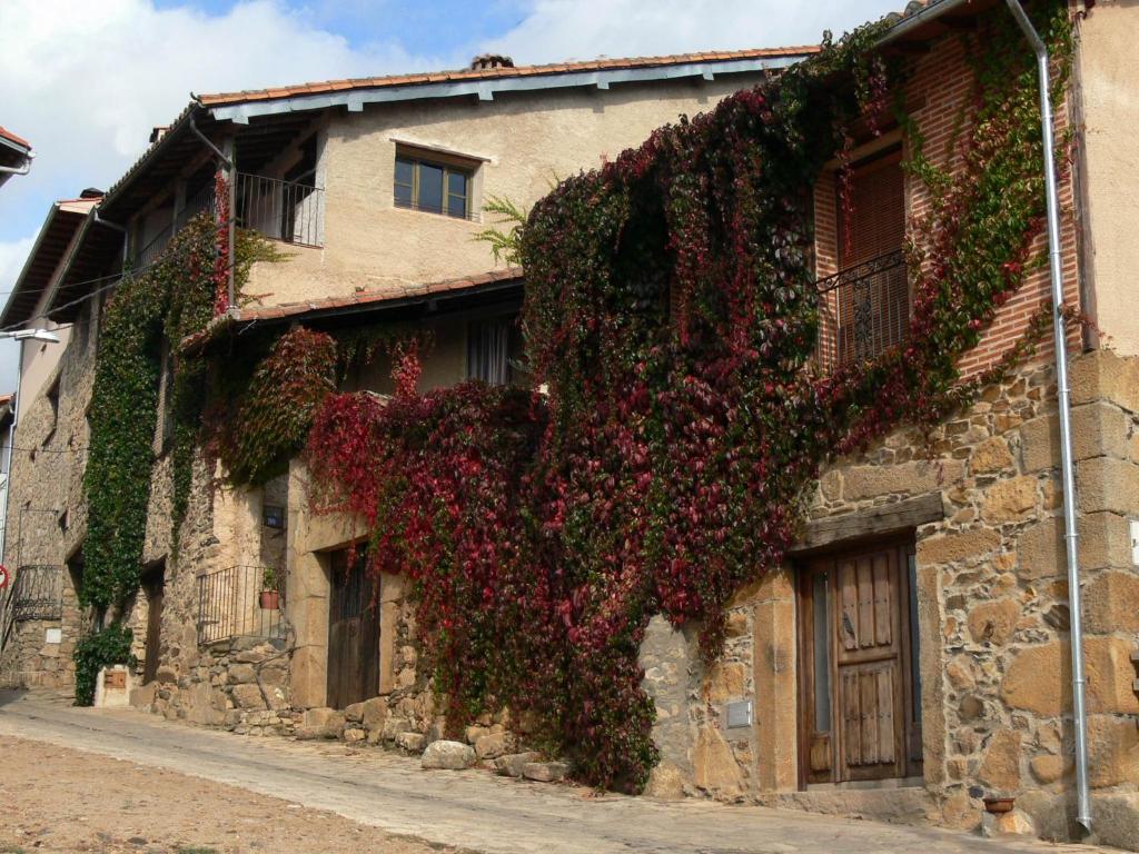 Villanueva del Conde巴图尔卡斯乡村小屋酒店的街道上花朵覆盖的建筑