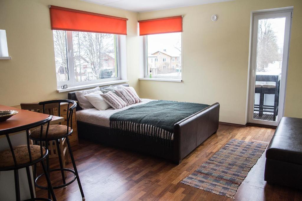 塔尔图Modern Apartment的一间卧室配有一张床、一张桌子和两个窗户