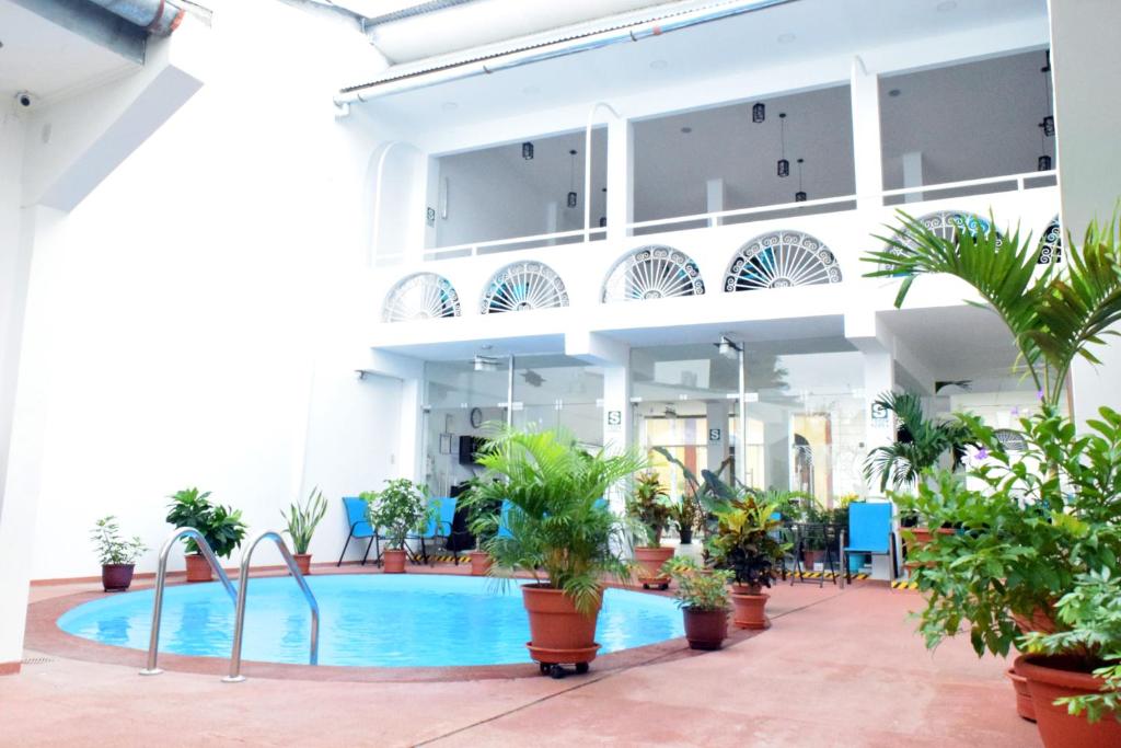 伊基托斯Hotel Jungle House的一座带游泳池和盆栽植物的大建筑