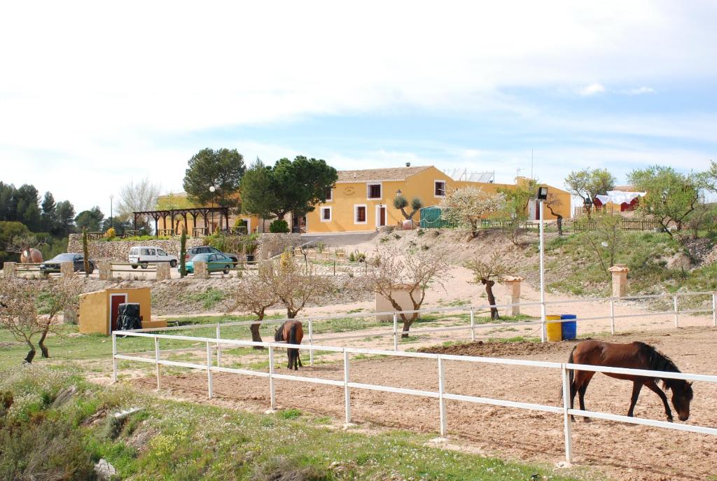 比亚尔Complejo Rural Las Lomas de Biar的两匹马在房子前面的田野上放牧