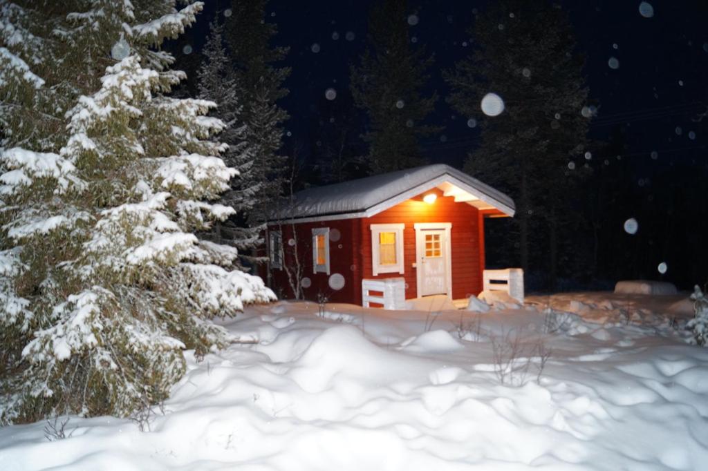 JerfojaurMyrkulla Lodge的雪上的小小屋,有圣诞树