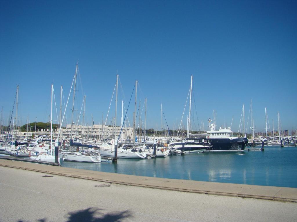 圣玛丽亚港Apartamento Marina el Puerto的停靠在港口的一群船
