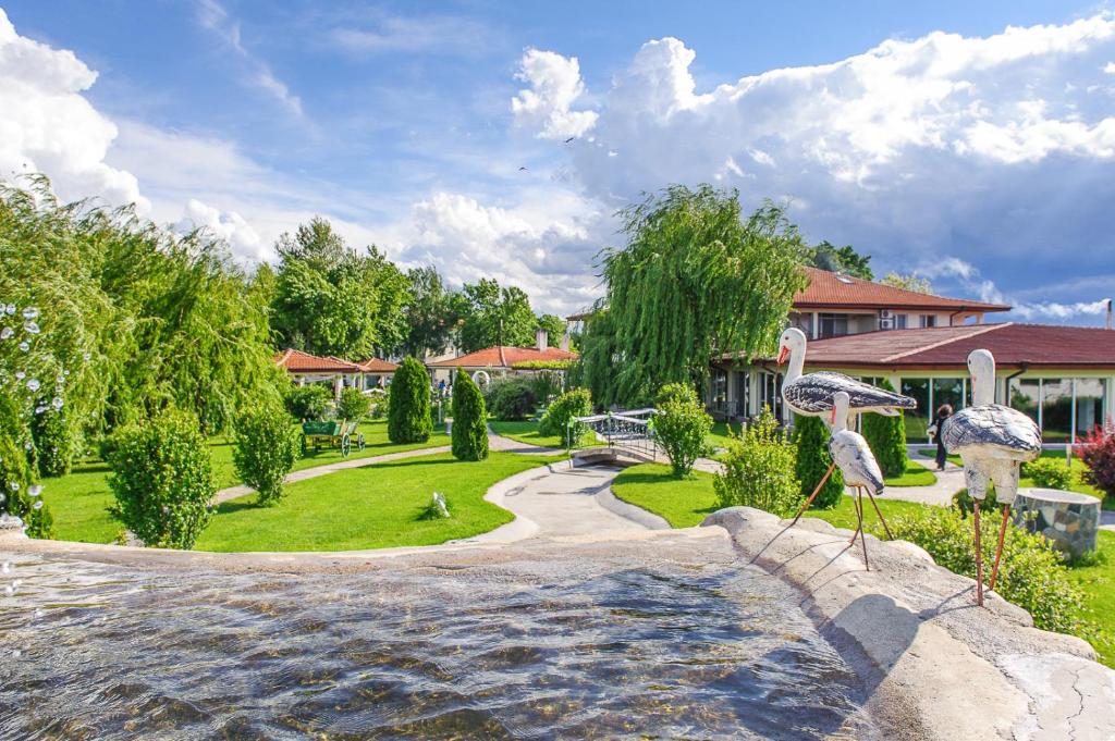 卡尔洛沃Yaev Family Hotel的一座带游泳池和花园的房屋