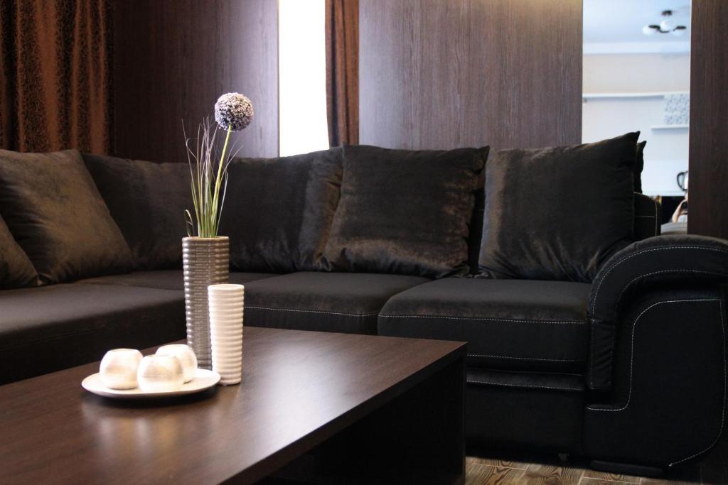 基辅Alexandra Apartments Industrial Bridge的带沙发和咖啡桌的客厅