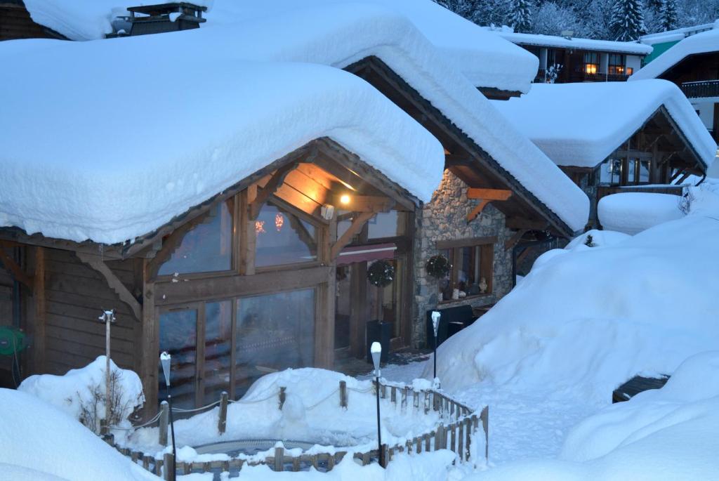 莫尔济讷金币寒冷粉末小屋酒店的雪地小木屋,有雪盖屋顶