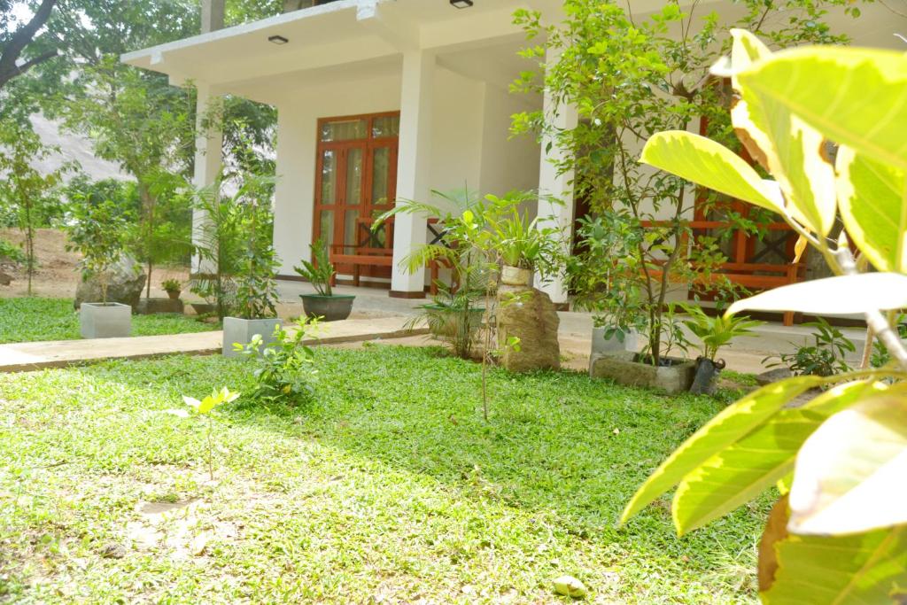 丹不拉girilena resort的一座有绿色草和植物的院子的房子