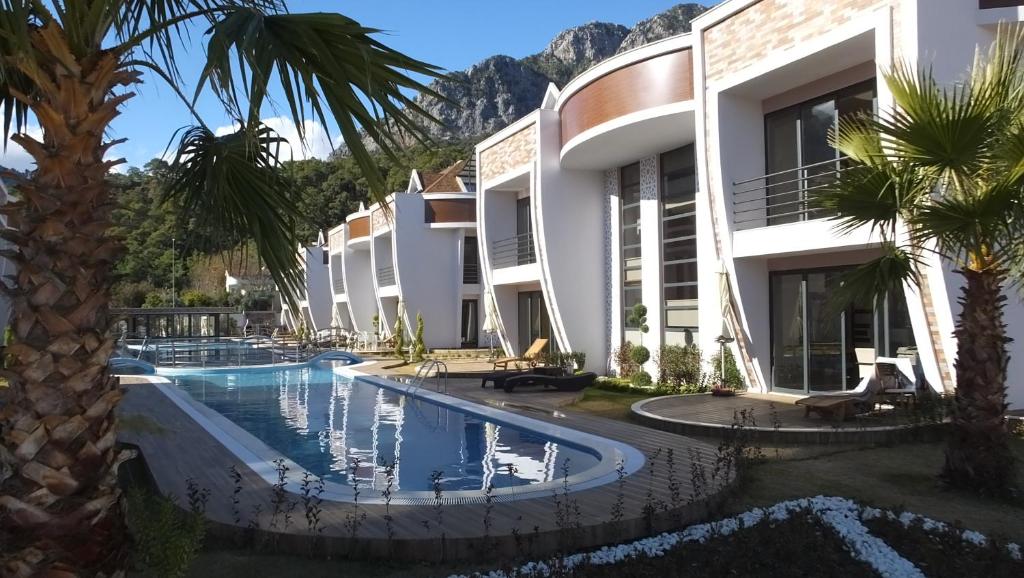 凯麦尔Han-De Homes的一座拥有游泳池和棕榈树的酒店
