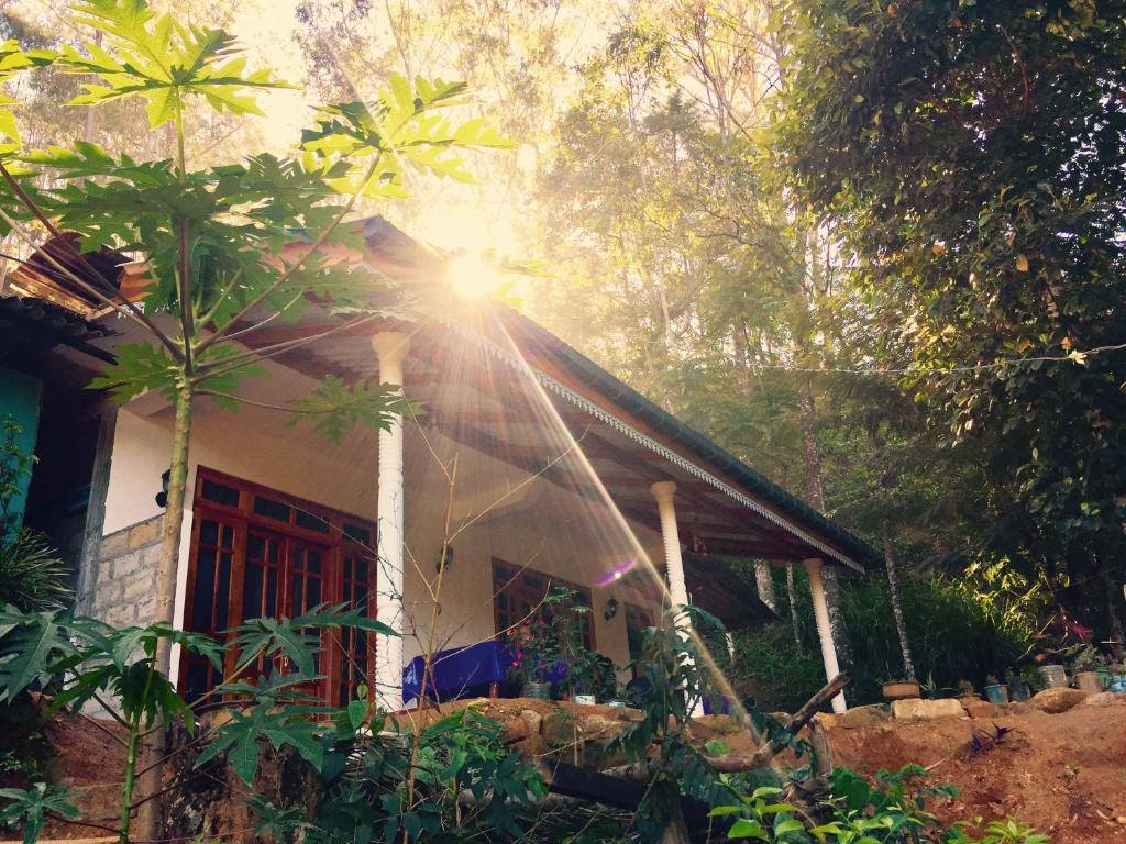 埃拉Secret Nest Homestay的阳光照耀着树的房屋