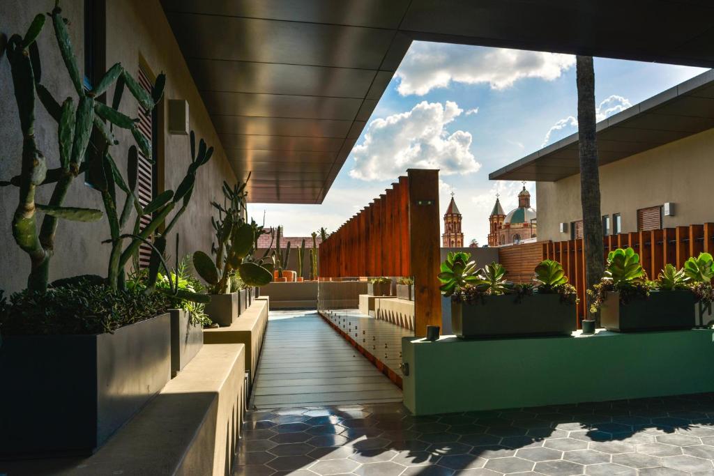 克雷塔罗克里欧酒店的建筑里种植了盆栽植物的阳台