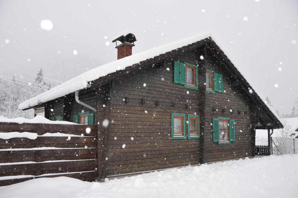 茵特斯托德Holzhaus in Hinterstoder的小屋,有一只黑猫坐在屋顶的雪上