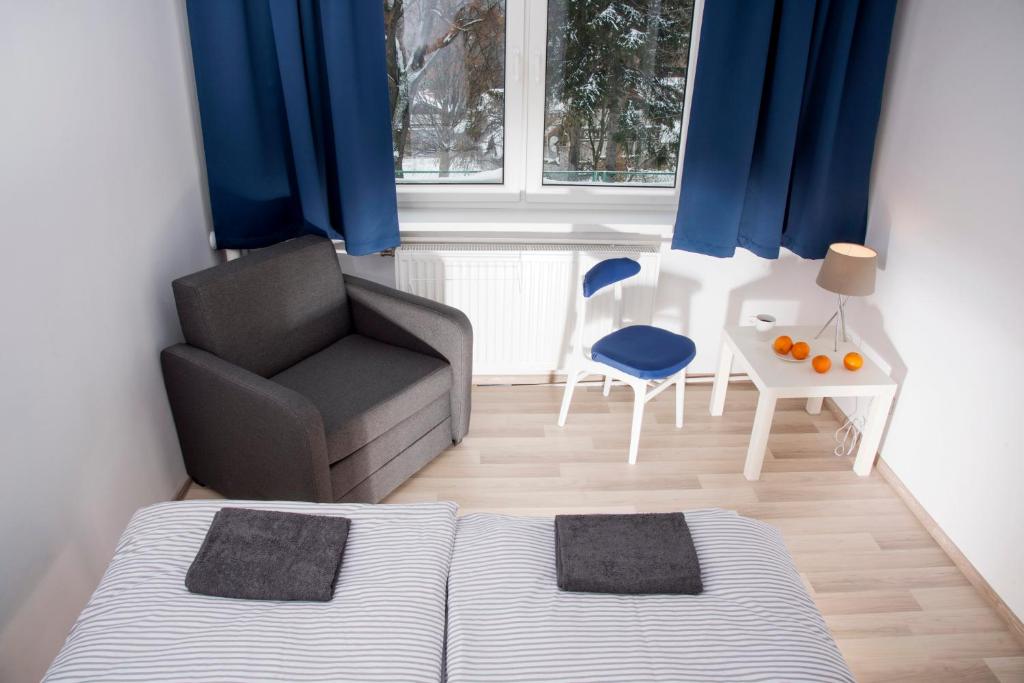 斯克拉斯卡波伦巴Spa Górka的客房设有床、椅子和窗户。