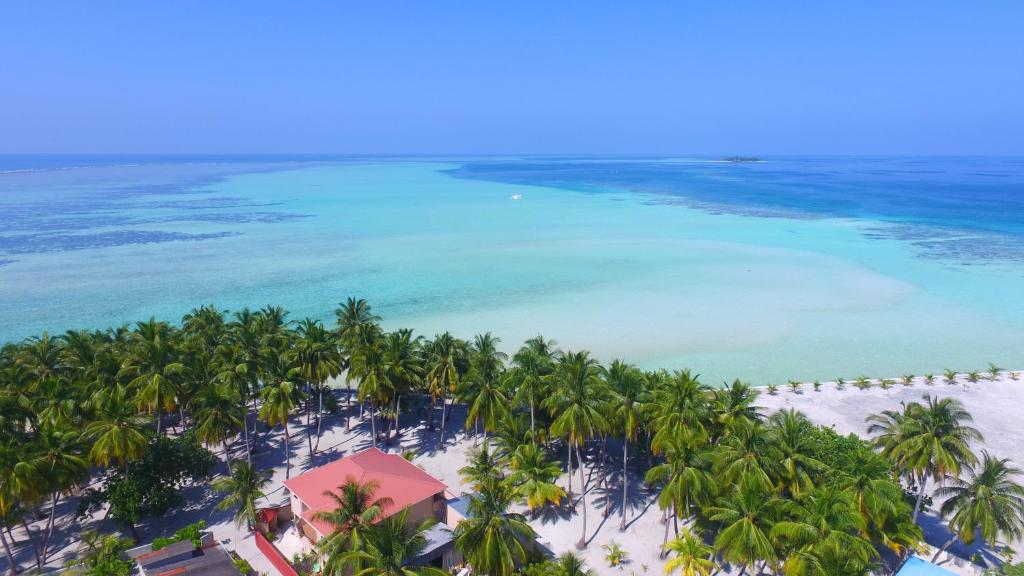 马提威力立威莉马提微利度假酒店的享有棕榈树海滩和大海的空中景致