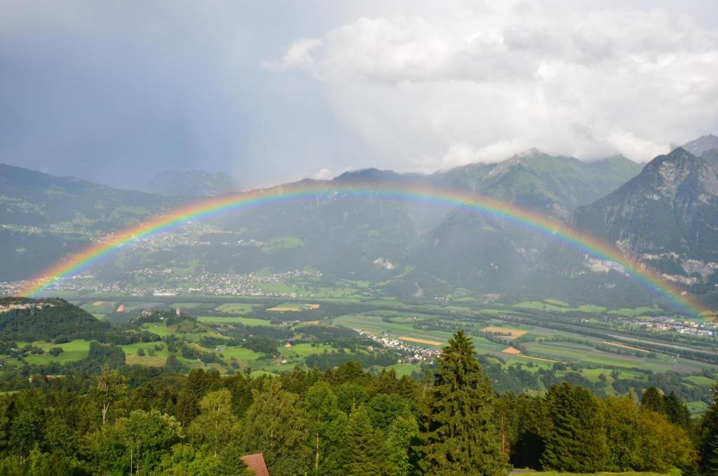 酒店 alvier seminar- und ferienhotel(阿尔菲亚会议及度假酒店)